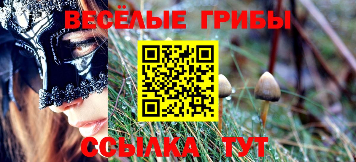 Галлюциногенные грибы Psilocybine cubensis Прохладный