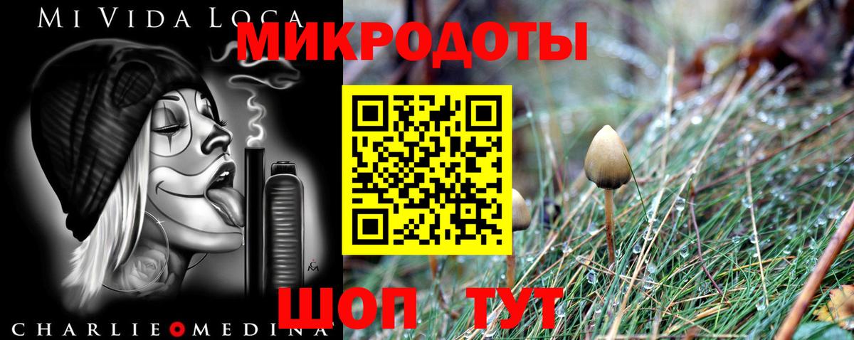 Прохладный  Галлюциногенные грибы прущие грибы  Вход с VPN 